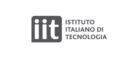 Logo iit